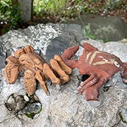 境内の様子（2対の蟹）