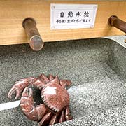 境内の様子（蟹）